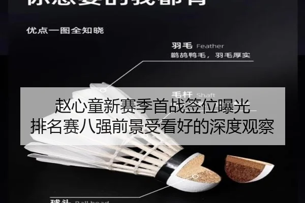 赵心童新赛季首战签位曝光 排名赛八强前景受看好的深度观察 | MilanSportsAPP